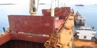 GUVEN GRAB – RADIO REMOTE CONTROL GRAB