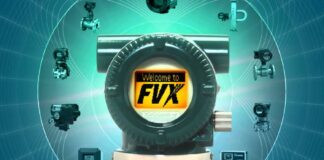 Field Mount Indicators: FVX110 Fieldbus Segment Indicator: Introduction