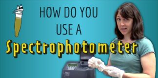 How do you use a Spectrophotometer? A practical guide!