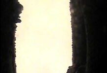 Thermal Power Station by Heat Resistant Camera System