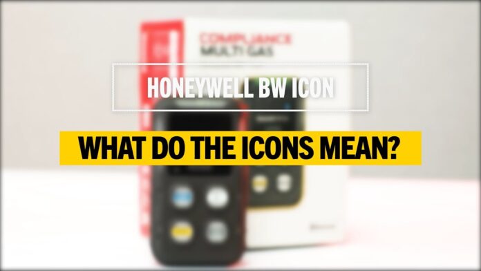 What Do the Icons Mean on the BW Icon’s Display