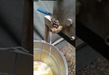 CJC PTU 15/25 | Thiết bị hiệu chuẩn Calibrator