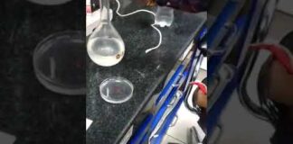 AATCC 15 2021 test method | Thiết bị hiệu chuẩn Calibrator