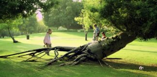 ISO 50001 Energy Management Standard | Thiết bị hiệu chuẩn Calibrator