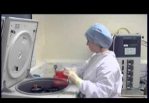 1. Cell culture laboratory and equipment overview | Thiết bị hiệu chuẩn Calibrator