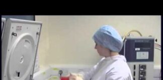 1. Cell culture laboratory and equipment overview | Thiết bị hiệu chuẩn Calibrator