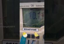 **Chuyên gia hiệu chuẩn thiết bị phòng thí nghiệm và tự động hóa công nghiệp với hơn 15 năm kinh nghiệm**