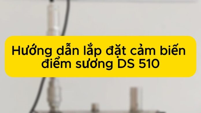 Hướng dẫn lắp đặt cảm biến điểm sương DS510 | Giải pháp kiểm soát độ ẩm hiệu quả
